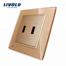 Livolo Reino Unido Toma de corriente / enchufe USB estándar de dos unidades VL-W292USB-13